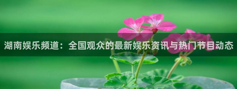 摩登7平台注册