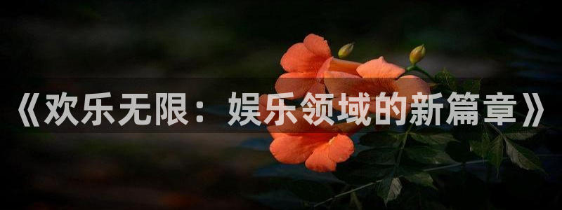 摩登7lite登录入口